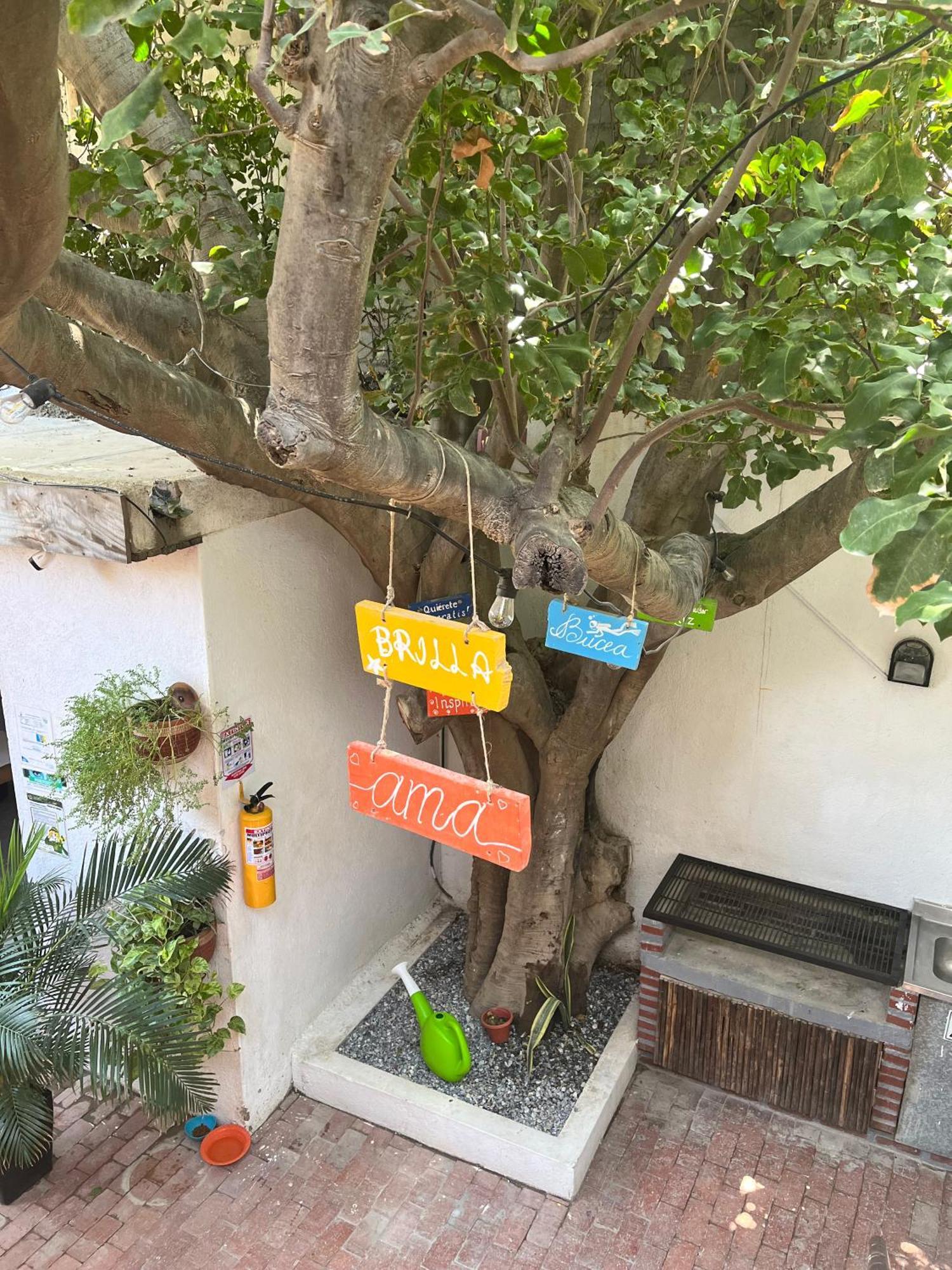 Ocean Lovers Hostel & Apartments Taganga Bagian luar foto